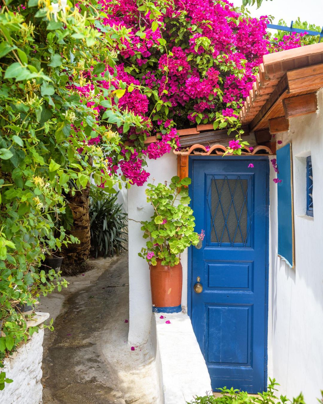 A blue door framed by bougainvillea in a historic Athens neighborhood