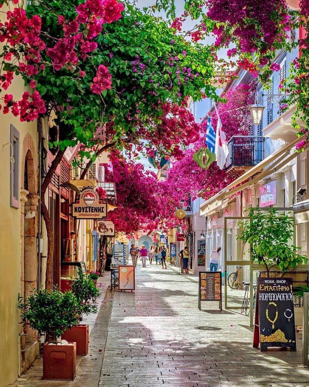 A Nafplio Old Town street covered in pink bougainvillea